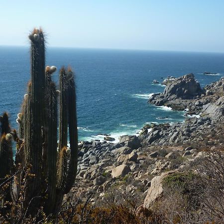 Vila Cabana Ecologica Trotamundos Coquimbo Exteriér fotografie