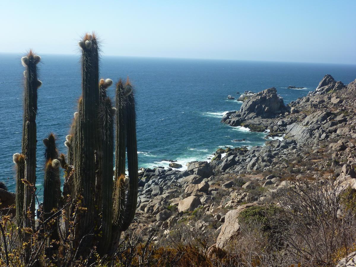 Vila Cabana Ecologica Trotamundos Coquimbo Exteriér fotografie